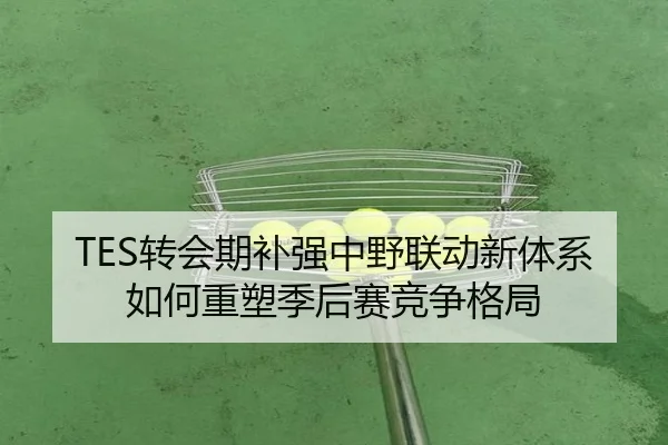 TES转会期补强中野联动新体系如何重塑季后赛竞争格局